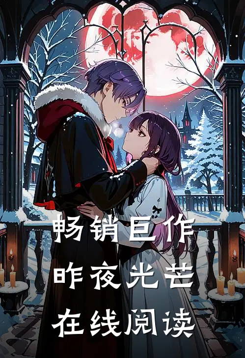 畅销巨作昨夜光芒在线阅读