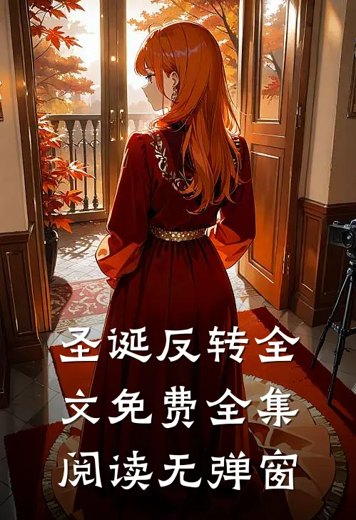 圣诞反转全文免费全集阅读无弹窗