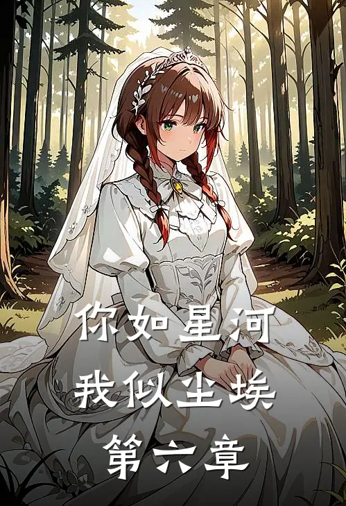 你如星河，我似尘埃第六章