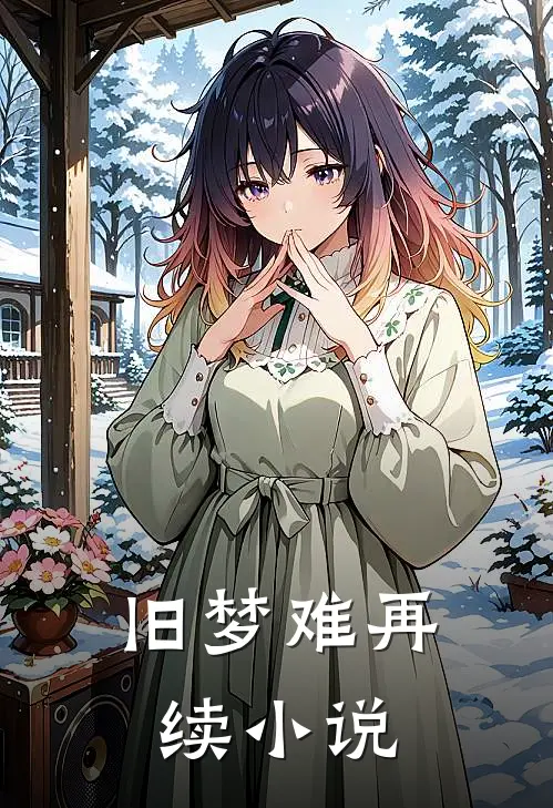 旧梦难再续小说