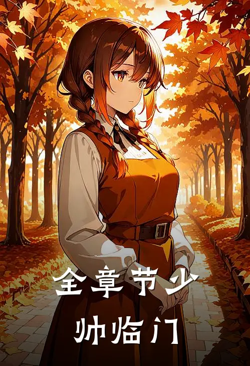 全章节少帅临门