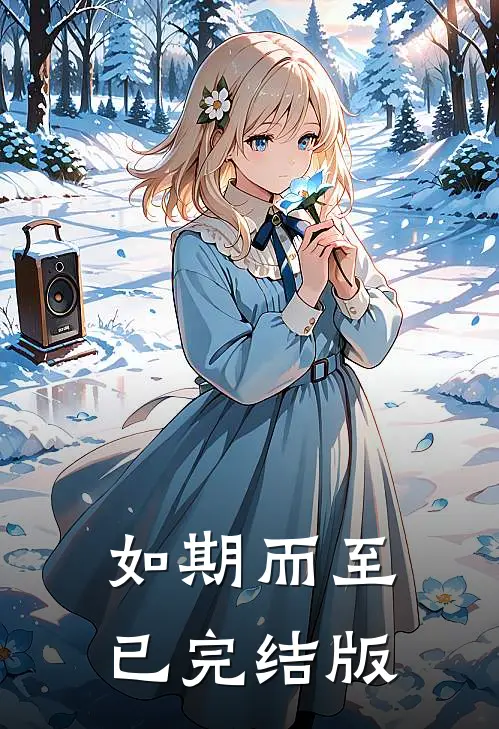 如期而至已完结版