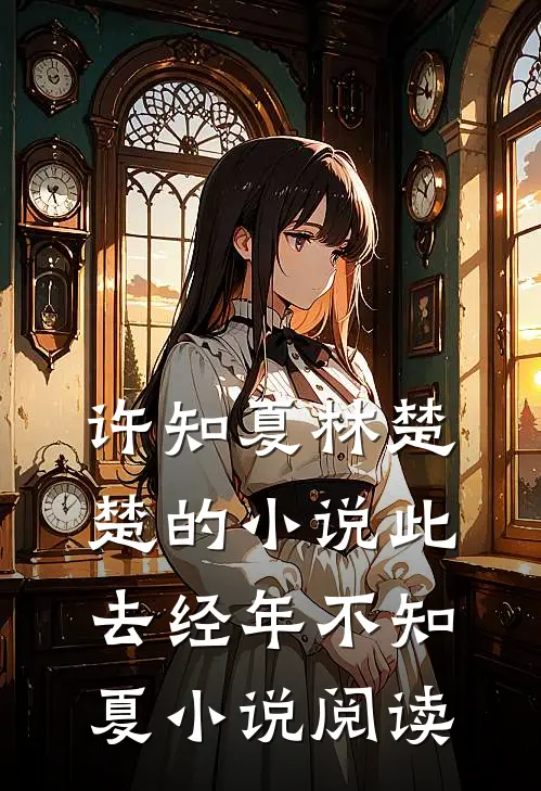 许知夏林楚楚的小说此去经年不知夏小说阅读