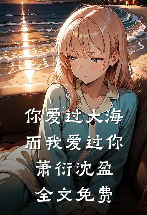 你爱过大海,而我爱过你萧衍沈盈全文免费