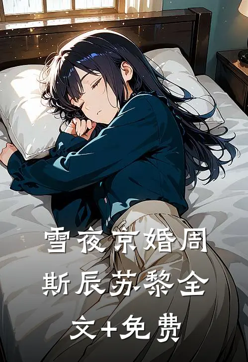 雪夜京婚周斯辰苏黎全文+免费