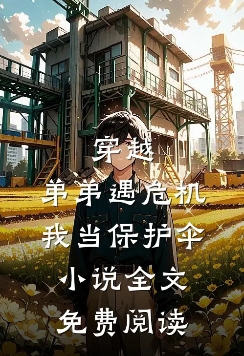 穿越：弟弟遇危机，我当保护伞小说全文免费阅读