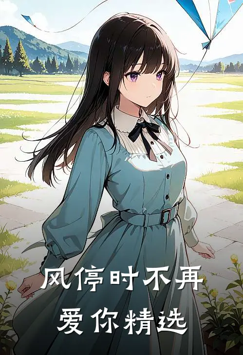 风停时不再爱你精选