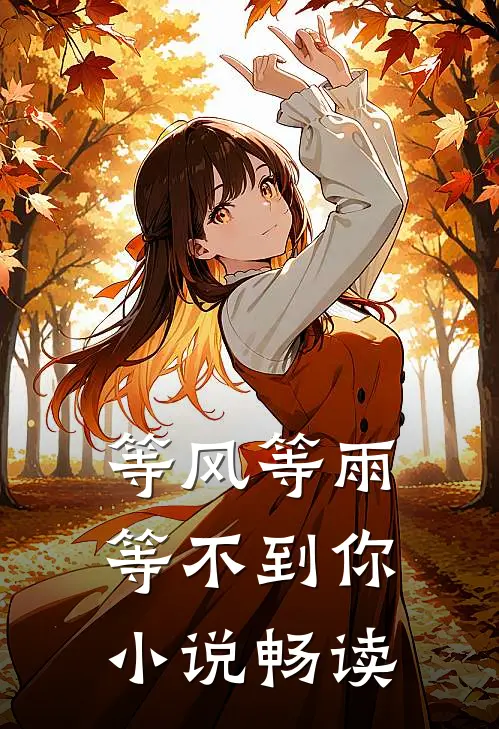 等风等雨等不到你小说畅读
