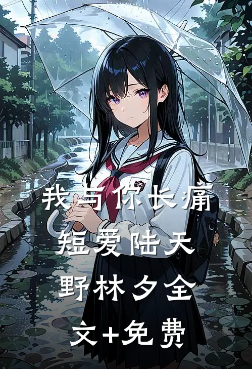 我与你长痛短爱陆天野林夕全文+免费