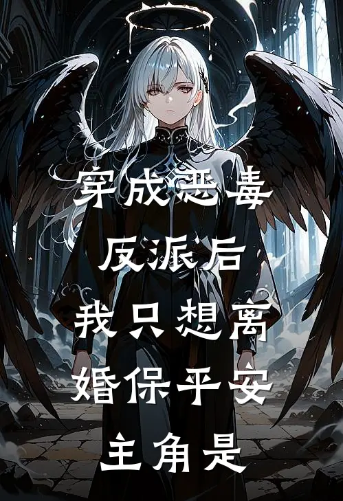 穿成恶毒反派后，我只想离婚保平安主角是