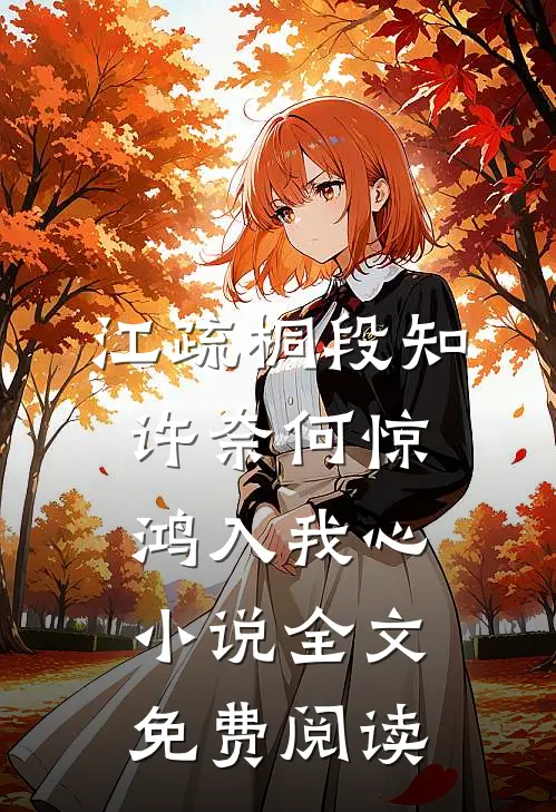 江疏桐段知许奈何惊鸿入我心小说全文免费阅读