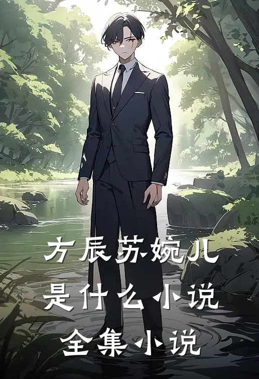 方辰苏婉儿是什么小说全集小说