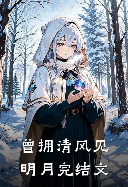 曾拥清风见明月完结文
