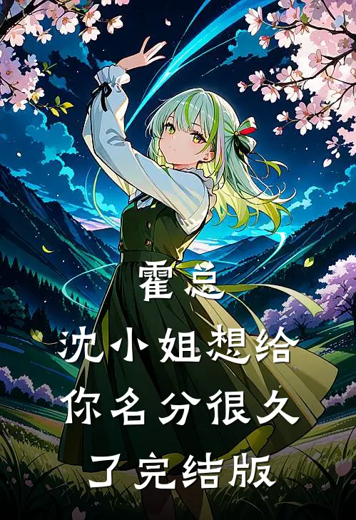 霍总，沈小姐想给你名分很久了完结版
