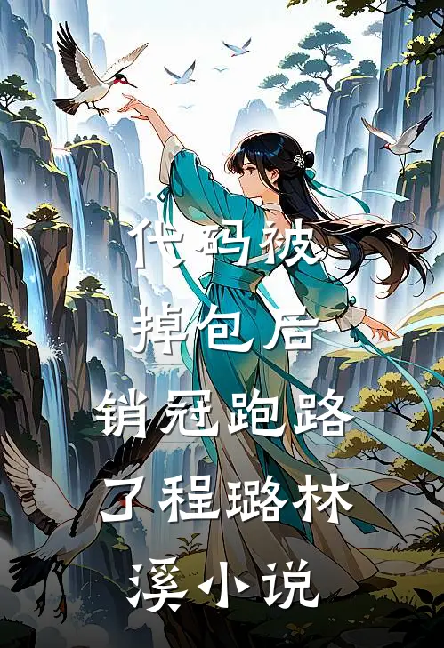 代码被掉包后，销冠跑路了程璐林溪小说