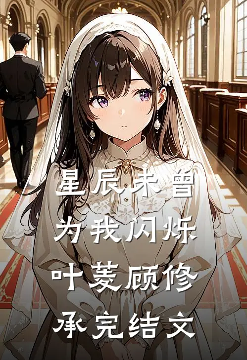 星辰未曾为我闪烁叶菱顾修承完结文