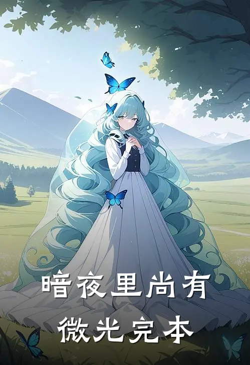 暗夜里尚有微光完本