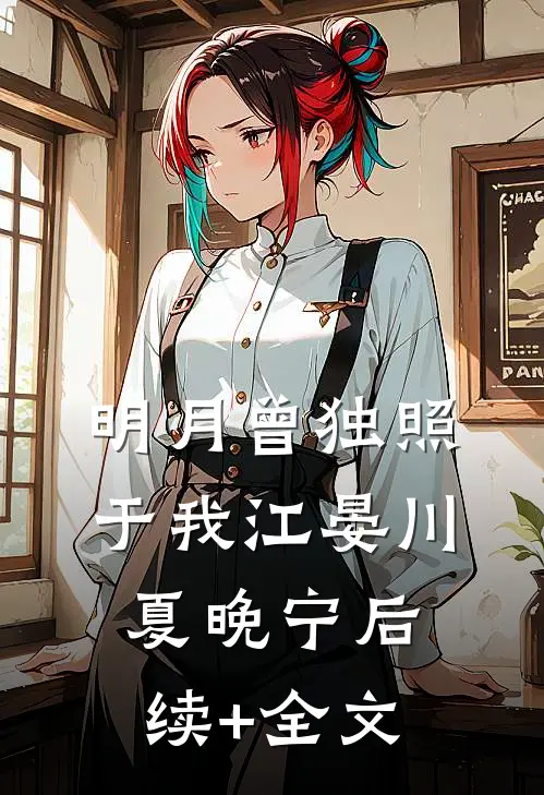 明月曾独照于我江晏川夏晚宁后续+全文