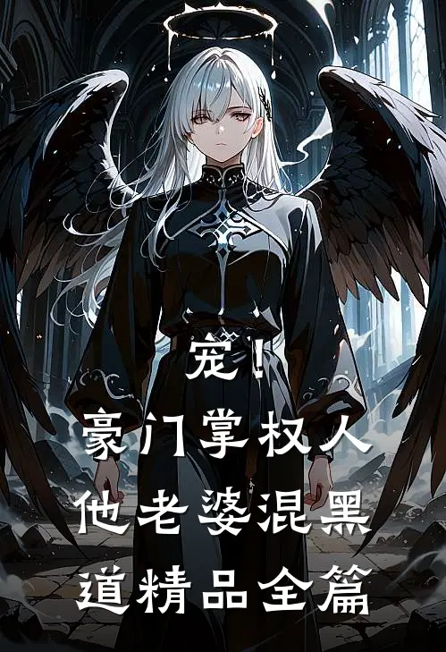 宠！豪门掌权人他老婆混黑道精品全篇