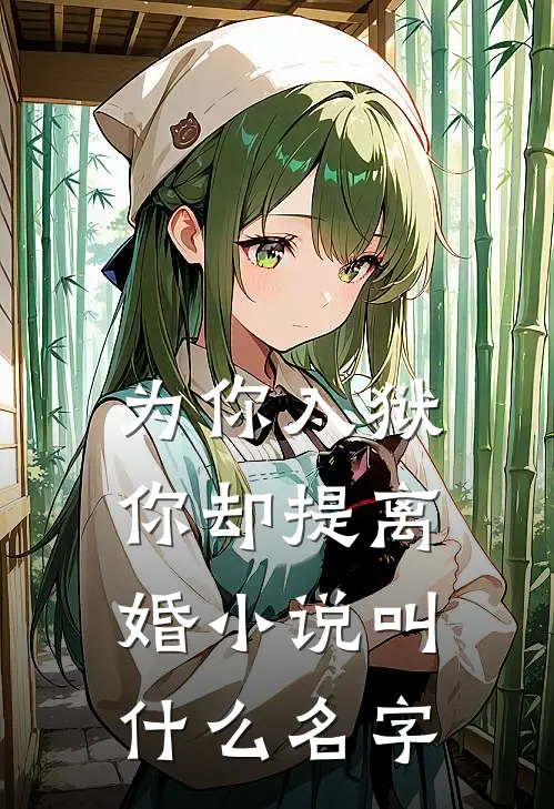为你入狱，你却提离婚小说叫什么名字