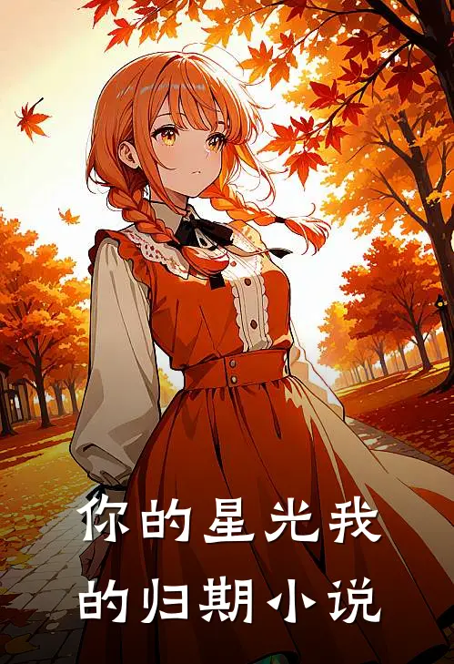 你的星光我的归期小说