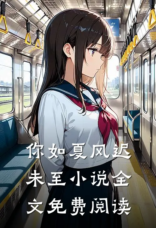 你如夏风迟未至小说全文免费阅读