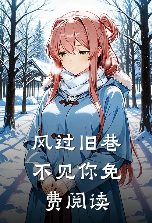 风过旧巷不见你免费阅读