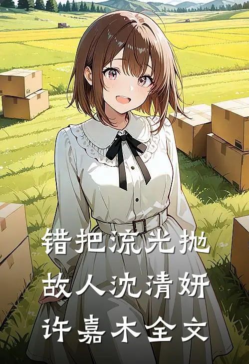 错把流光抛故人沈清妍许嘉木全文