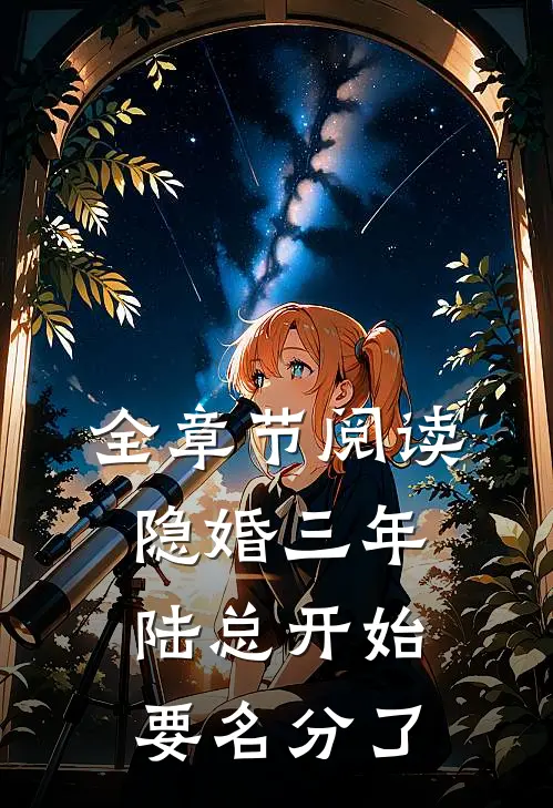 全章节阅读隐婚三年，陆总开始要名分了