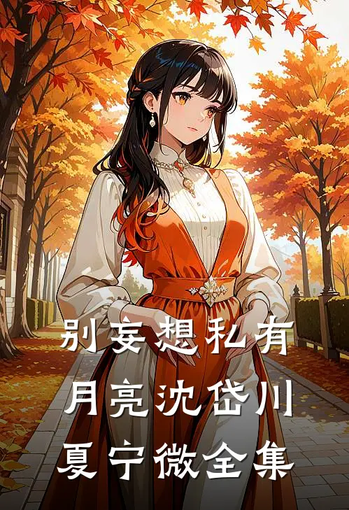 别妄想私有月亮沈岱川夏宁微全集