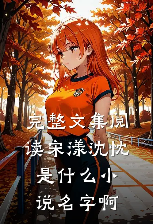 完整文集阅读宋漾沈忱是什么小说名字啊