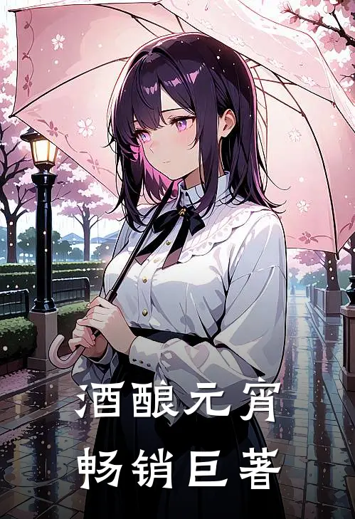 酒酿元宵畅销巨著