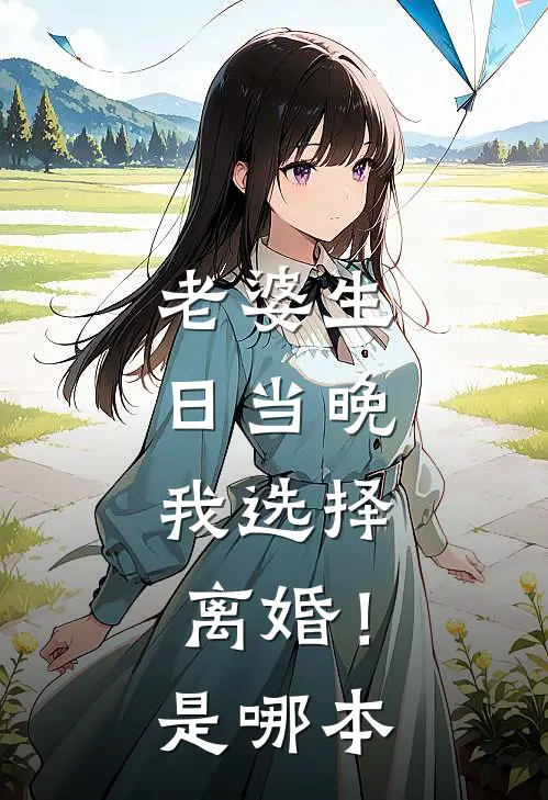 老婆生日当晚，我选择离婚！是哪本