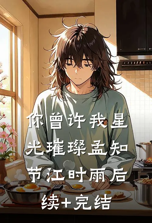 你曾许我星光璀璨孟知节江时雨后续+完结