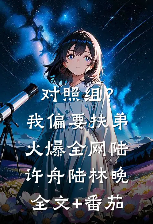 对照组？我偏要扶弟火爆全网陆许舟陆林晚全文+番茄