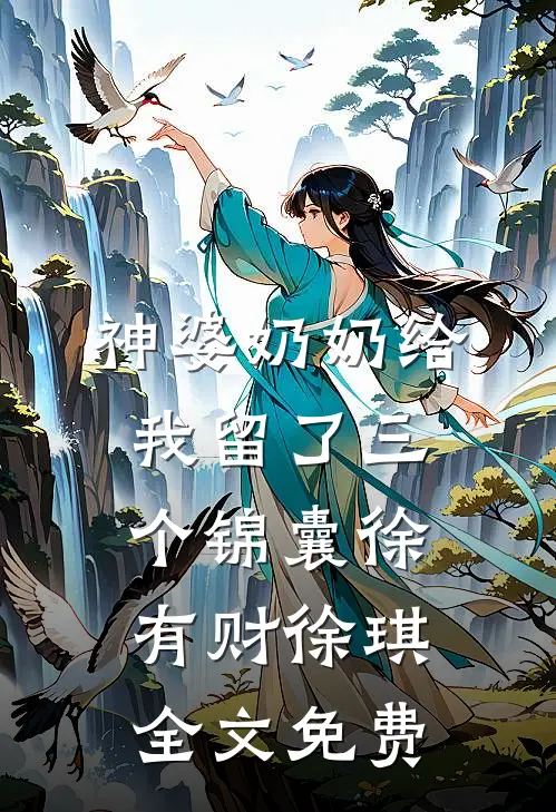 神婆奶奶给我留了三个锦囊徐有财徐琪全文免费