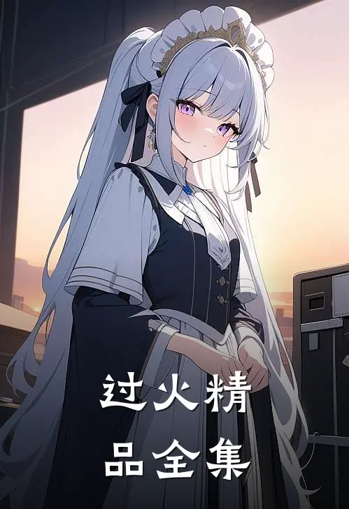 过火精品全集