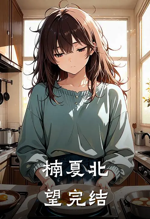楠夏北望完结