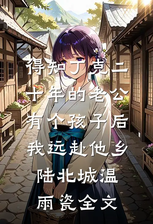 得知丁克二十年的老公有个孩子后，我远赴他乡陆北城温雨瓷全文