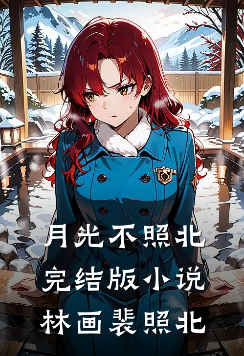 月光不照北完结版小说林画裴照北