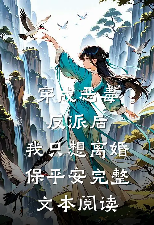 穿成恶毒反派后，我只想离婚保平安完整文本阅读