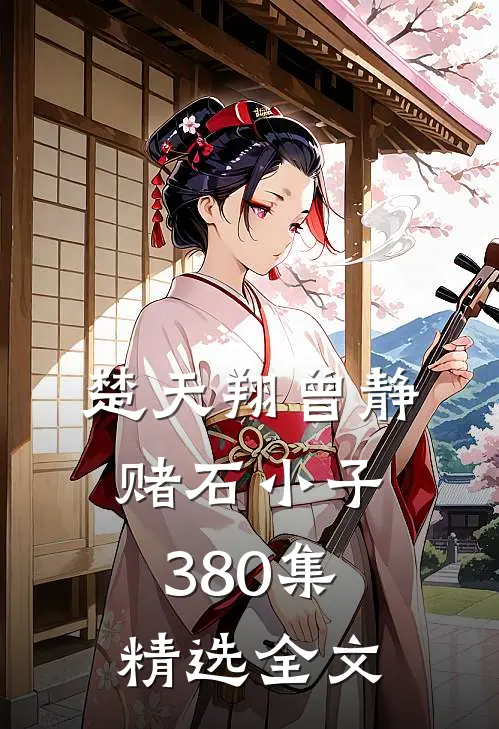 楚天翔曾静赌石小子380集精选全文