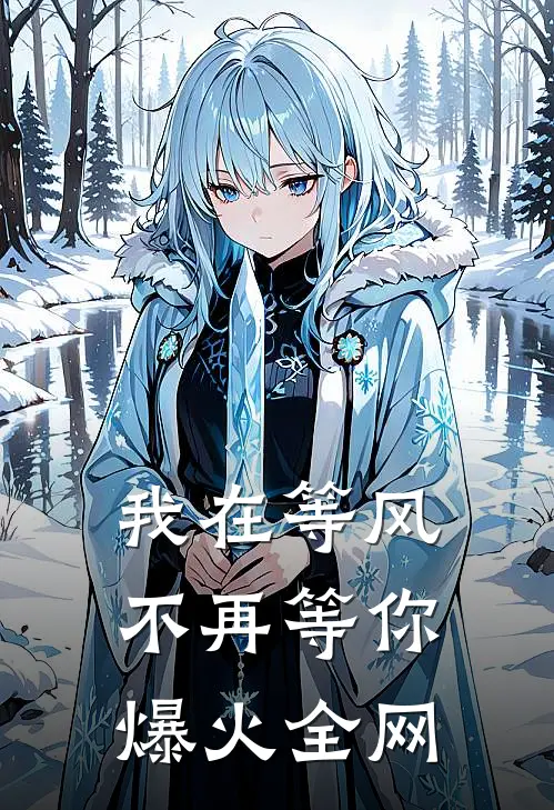 我在等风，不再等你爆火全网