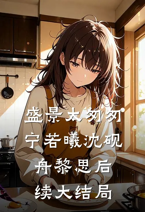 盛景太匆匆宁若曦沈砚舟黎思后续大结局