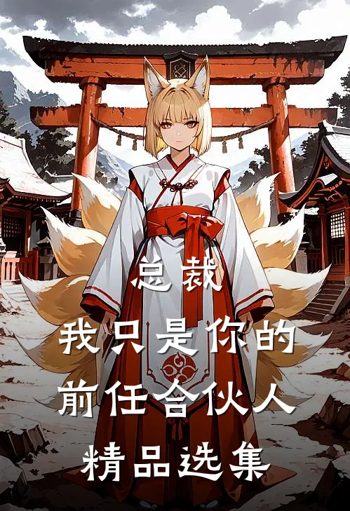 总裁，我只是你的前任合伙人精品选集