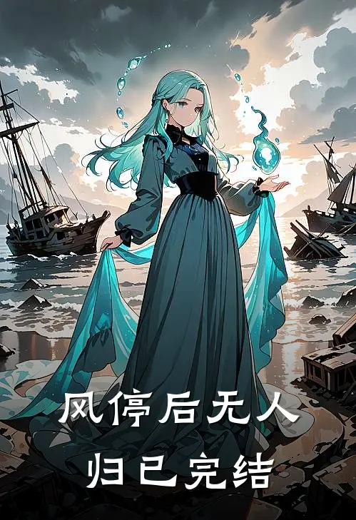 风停后无人归已完结